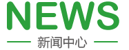 鸡巴网站